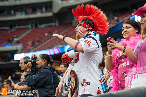 NFL 2013 - Houston Texans vs St. Louis Rams