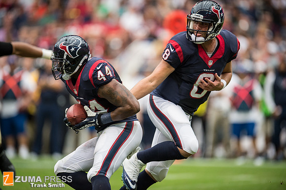 NFL 2013 - Houston Texans vs New Orleans Saints
