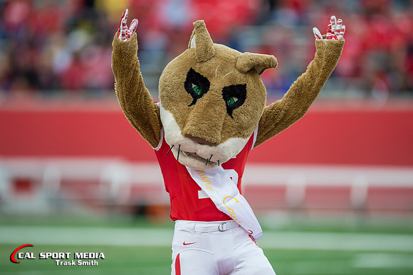 NCAA Football 2015: Cincinnati Bearcats vs Houston Cougars NOV 07