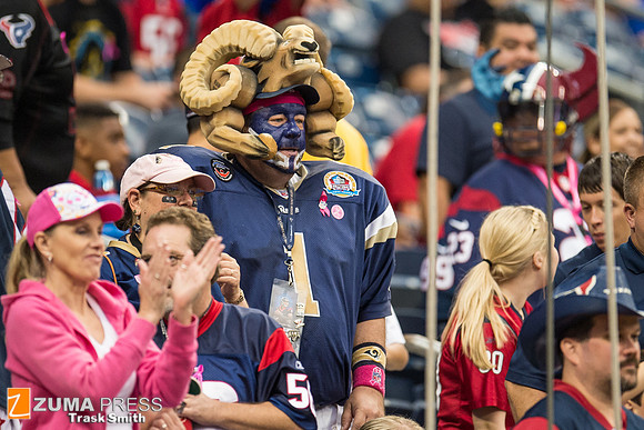 NFL 2013 - Houston Texans vs St. Louis Rams