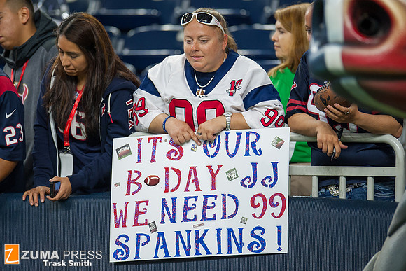 NFL 2015 - Houston Texans defeat the Tennessee Titans 20-6
