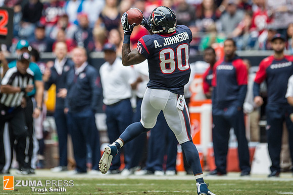 NFL 2013 - Houston Texans vs New England Patriots