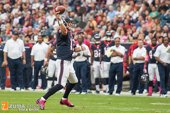 NFL 2013 - Houston Texans vs St. Louis Rams