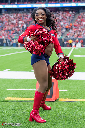 NFL 2017: 49ers vs Texans DEC 10