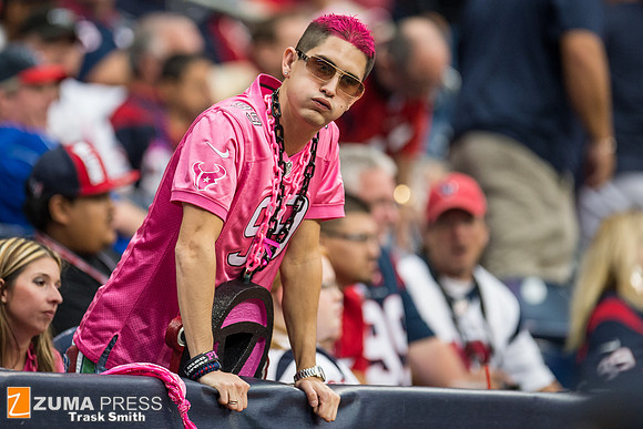 NFL 2013 - Houston Texans vs St. Louis Rams