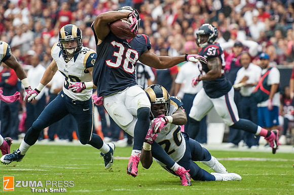NFL 2013 - Houston Texans vs St. Louis Rams