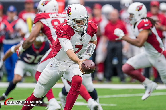 NFL 2017: Cardinals vs Texans NOV 19