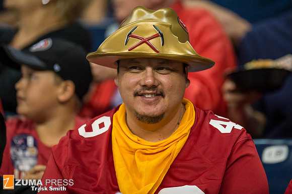 NFL 2014 - Houston Texans vs San Francisco 49ers