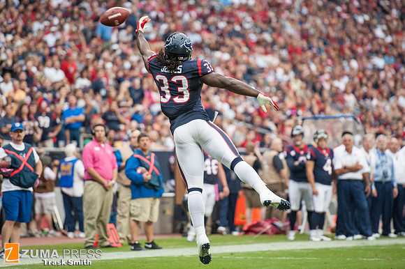 NFL 2013 - Houston Texans vs St. Louis Rams