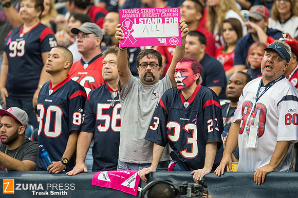 NFL 2013 - Houston Texans vs St. Louis Rams