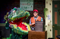 Little Shop of Horrors performed by Bay City CAST (08-08-24)