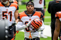NFL 2020: Bengals vs Texans DEC 27
