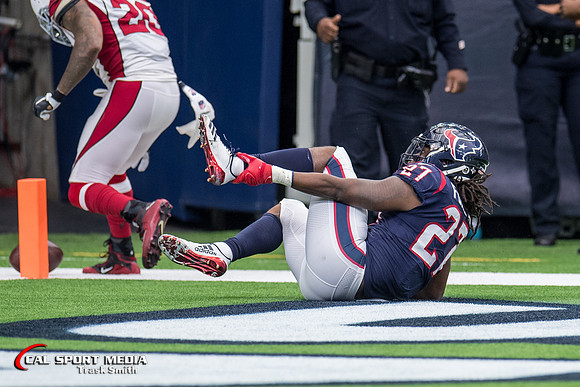 NFL 2017: Cardinals vs Texans NOV 19