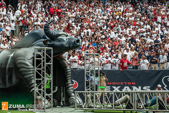 NFL 2014 - Houston Texans vs Washington Redskins