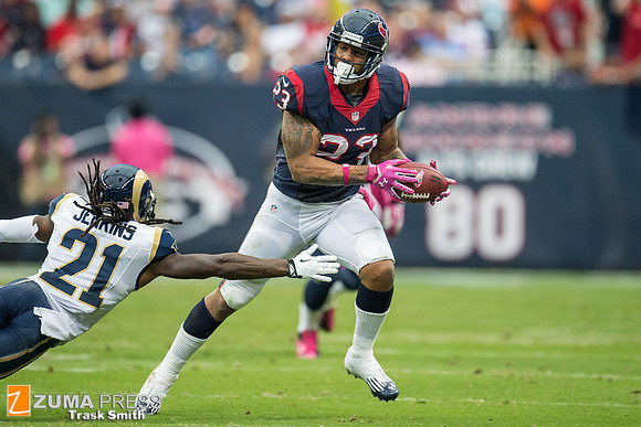 NFL 2013 - Houston Texans vs St. Louis Rams