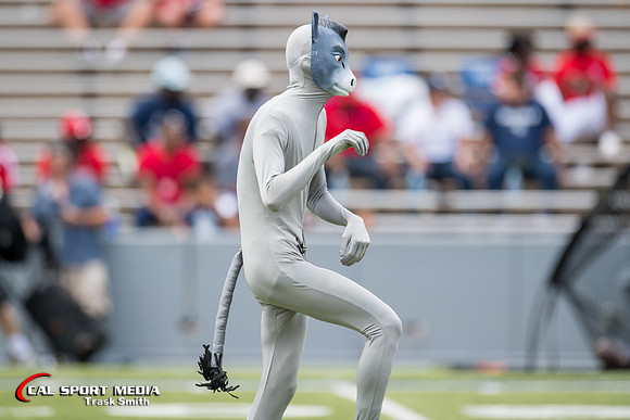 NCAA Football 2018: Houston vs Rice SEP 01