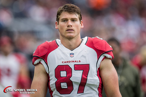 NFL 2017: Cardinals vs Texans NOV 19