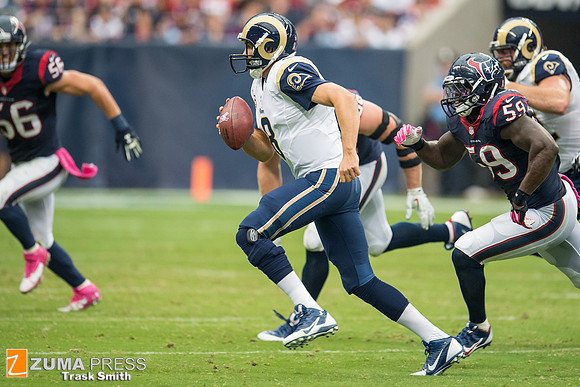 NFL 2013 - Houston Texans vs St. Louis Rams