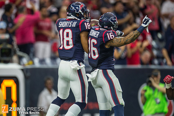 NFL 2015 - Houston Texans vs San Francisco 49ers