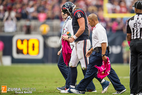 NFL 2013 - Houston Texans vs St. Louis Rams