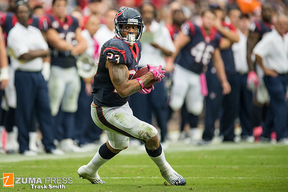 NFL 2013 - Houston Texans vs St. Louis Rams