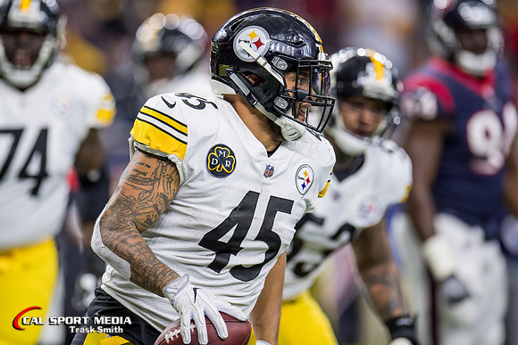 NFL 2017: Steelers vs Texans DEC 25