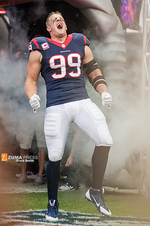NFL 2013 - Houston Texans vs St. Louis Rams