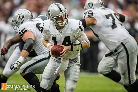 NFL 2013 - Houston Texans vs Oakland Raiders