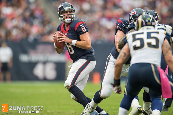 NFL 2013 - Houston Texans vs St. Louis Rams