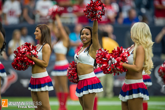 NFL 2014 - Houston Texans vs Buffalo Bills