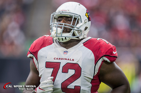 NFL 2017: Cardinals vs Texans NOV 19