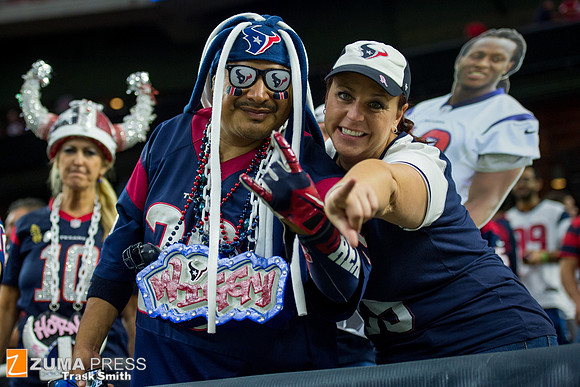 NFL 2015 - Houston Texans defeat the Tennessee Titans 20-6