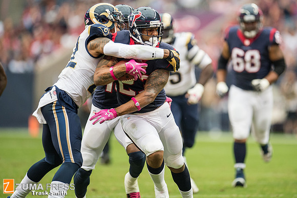 NFL 2013 - Houston Texans vs St. Louis Rams