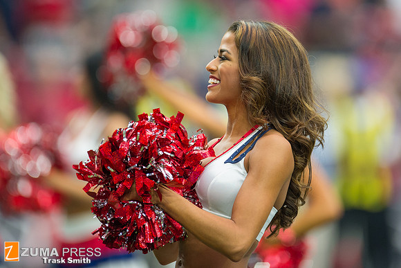 NFL 2014 - Houston Texans vs Buffalo Bills
