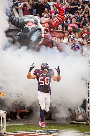 NFL 2013 - Houston Texans vs St. Louis Rams
