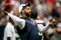 NFL 2013 - Houston Texans vs New Orleans Saints
