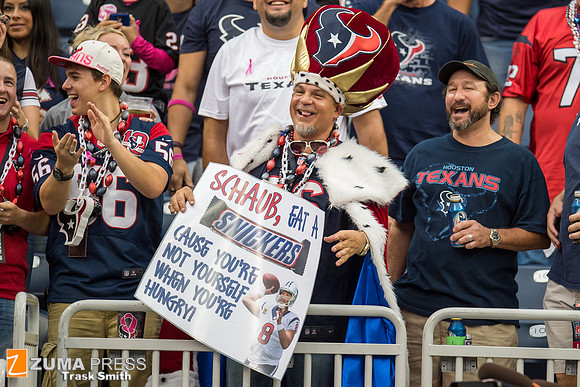 NFL 2013 - Houston Texans vs St. Louis Rams