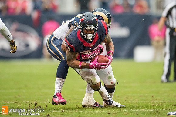 NFL 2013 - Houston Texans vs St. Louis Rams