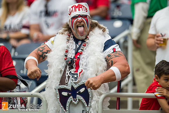 NFL 2015 - Houston Texans vs Kansas City Chiefs