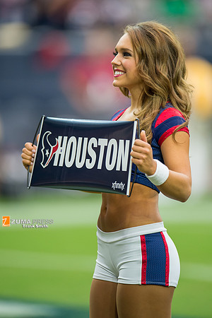 NFL 2014 - Houston Texans vs Buffalo Bills
