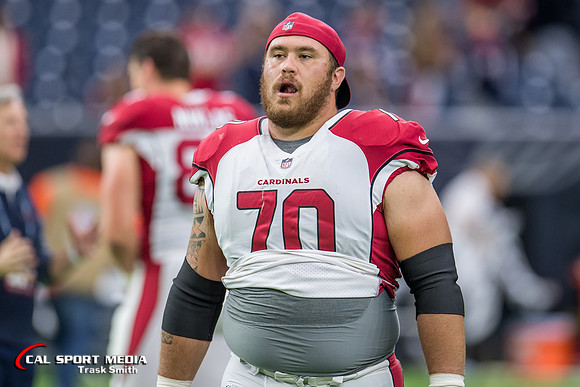 NFL 2017: Cardinals vs Texans NOV 19