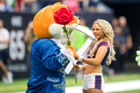 Houston Texans Cheerleaders (10-01-17)
