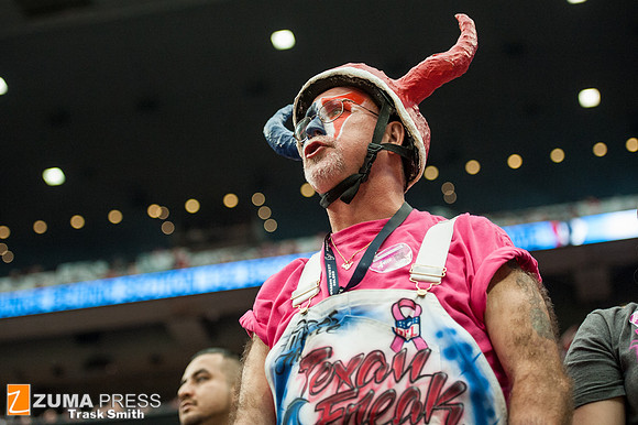 NFL 2013 - Houston Texans vs St. Louis Rams