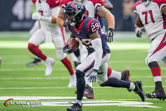 NFL 2017: Cardinals vs Texans NOV 19