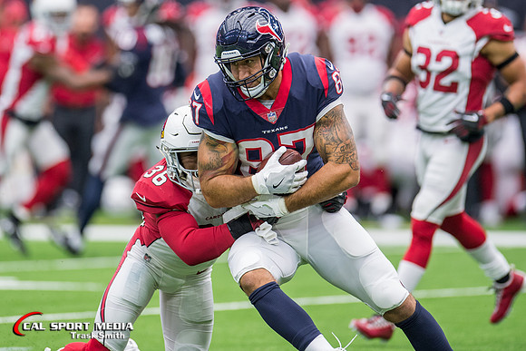 NFL 2017: Cardinals vs Texans NOV 19