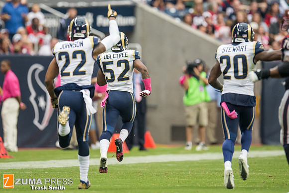 NFL 2013 - Houston Texans vs St. Louis Rams