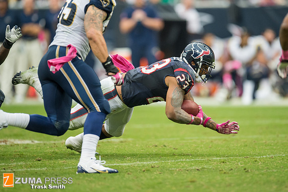 NFL 2013 - Houston Texans vs St. Louis Rams