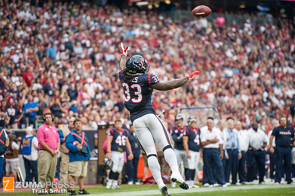NFL 2013 - Houston Texans vs St. Louis Rams