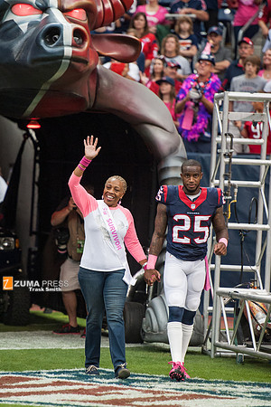 NFL 2013 - Houston Texans vs St. Louis Rams