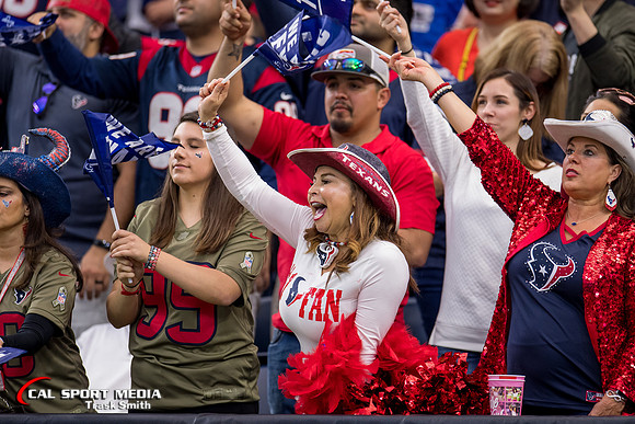 NFL 2020: Bills vs Texans JAN 04